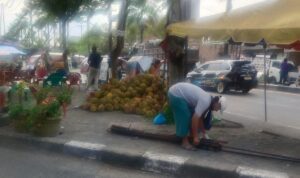 Warga Minta Pemerintah Setempat Tindak Tegas Keberadaan Mak Ropo Durian Yang Beroperasi di Taman Kota
