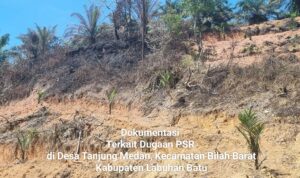 Dugaan KKN di Program Peremajaan Sawit Rakyat Koperasi Sahata Maju Bersama Disorot